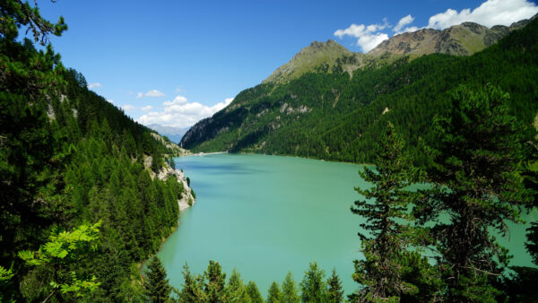 Wallpaper River, Sky, Covered, Trees, Landscape, Mountains, Blue, White, Mobile, Desktop, View, Green, Clouds, Nature, Under