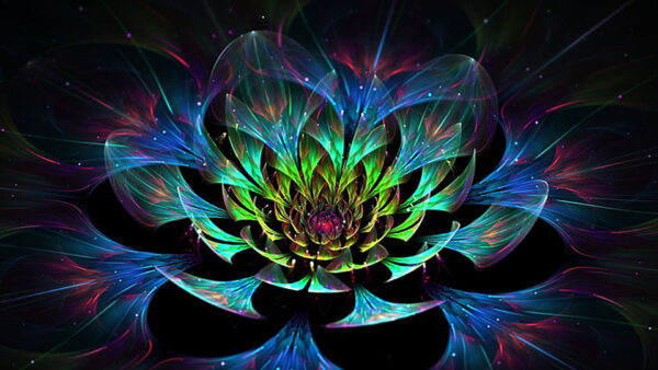 Wallpaper Glare, Abstract, Art, Petals, Fractal, Digital, Flower, Colorful