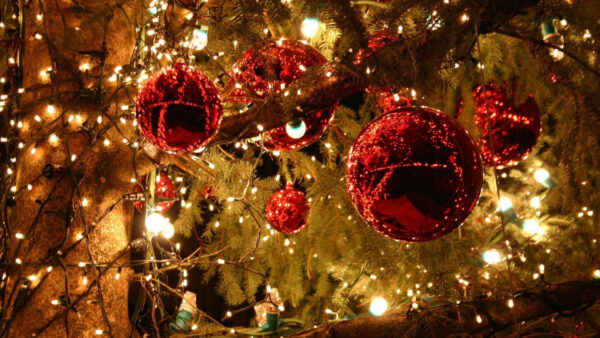 Wallpaper With, Lights, Balls, Red, And, Desktop, Christmas, Tree, Decoration