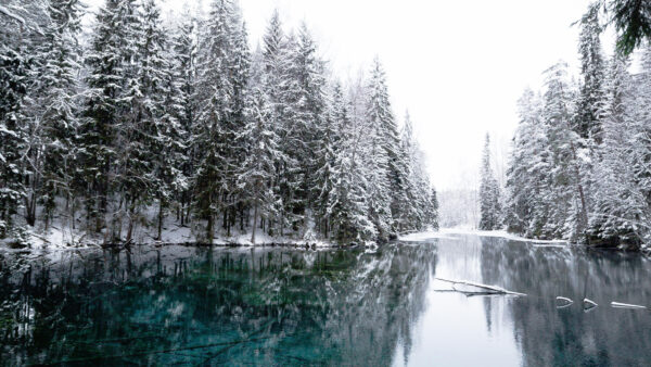 Wallpaper Reflection, Beautiful, Under, Desktop, Forest, Mobile, Water, Winter, Body, Mist, Calm, Snow, Trees, Sky, Covered, White