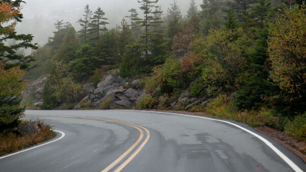 Wallpaper Slope, Autumn, Between, Colorful, With, Trees, Road, Stones, Turn, Fog