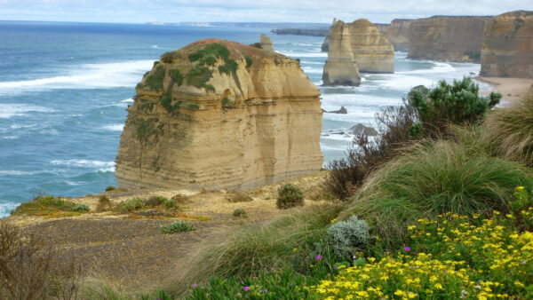 Wallpaper Rock, Waves, Stone, Nature, Green, Coast, Yellow, Grass, Flowers, Ocean