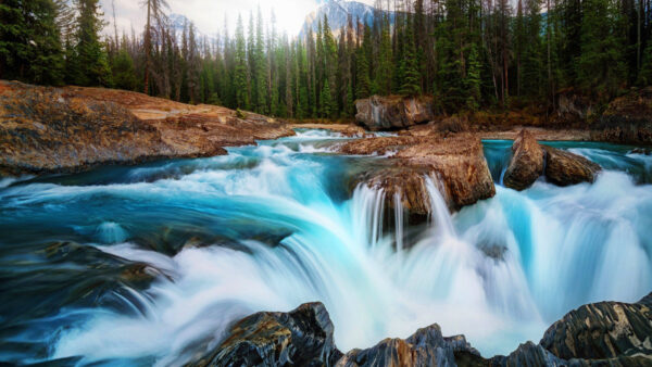 Wallpaper Background, Stream, Nature, Water, Trees, Mountains, Forest, Rocks