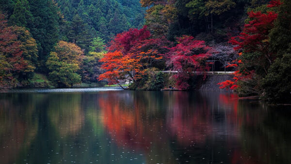 Wallpaper Autumn, Green, Trees, Red, River, Orange, Mountains, Landscape, Background, Forest, View