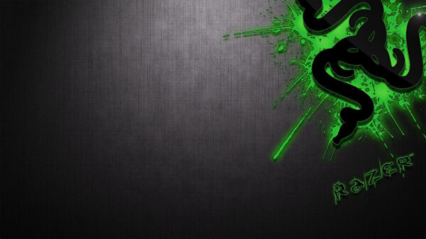 Wallpaper Ash, Background, Green, Razer, Desktop, Black