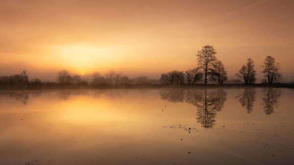 Wallpaper Sunset, During, Green, Trees, Water, Lake, Reflection