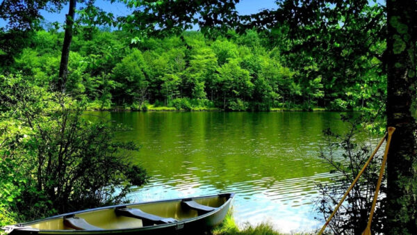 Wallpaper Water, River, Reflection, Surrounded, Near, Trees, Green, Boat, Under, Nature, Sky, Blue