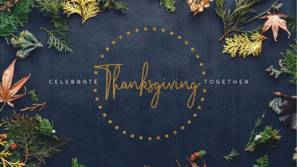 Wallpaper Celebrate, Together, Thanksgiving