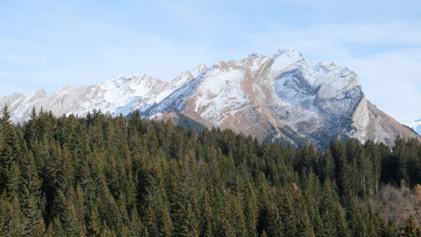 Wallpaper Forest, Background, View, Mountains, Blue, Spruce, Rock, Landscape, Nature, Snow, Desktop, With, Sky, Trees, Mobile