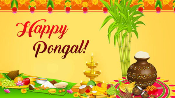 Wallpaper Pongal, Happy, Celebration