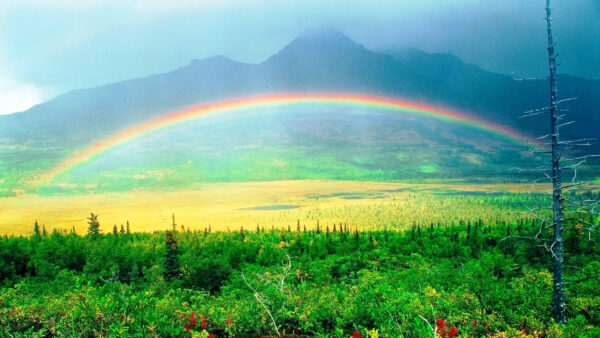 Wallpaper Valley, Green, Desktop, Rainbow