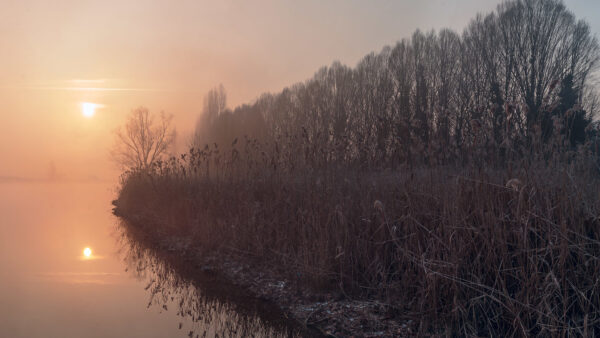 Wallpaper Desktop, Foggy, During, Lake, Nature, Morning