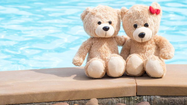 Wallpaper Bears, Bear, Water, Background, Pool, Teddy