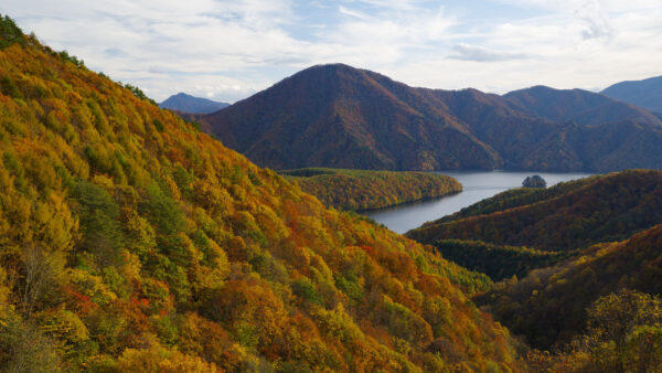 Wallpaper Mountains, Nature, Aerial, Forest, Desktop, View, River, Mobile