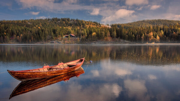 Wallpaper Boat, Reflection, View, Landscape, Middle, Forest, Trees, With, River, Covered, Nature, The, Water