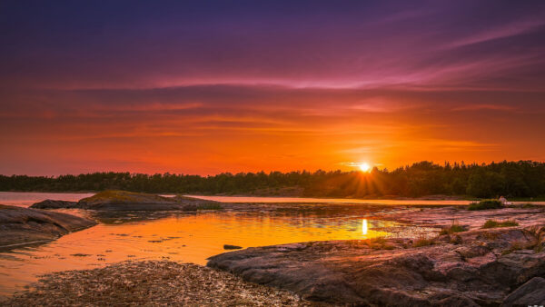 Wallpaper Under, Scenery, Forest, Nature, Sky, Sunset, Purple, During, Beautiful, Mobile, Trees, Desktop, Rocks