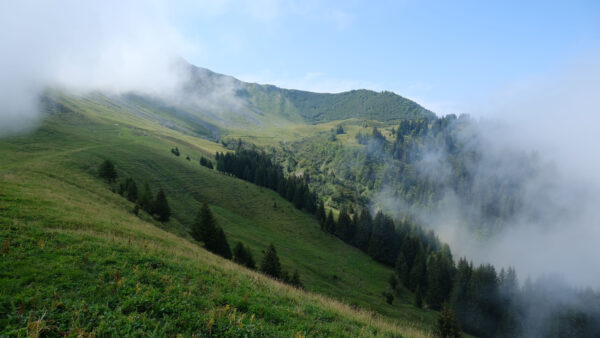 Wallpaper Trees, Sky, Fog, Background, Mountains, Blue, Slope, Mobile, Nature, Desktop, With, Hills