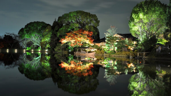 Wallpaper Sky, Water, Photography, Reflection, Green, Under, House, Trees, Lights, With, Beautiful, Blue