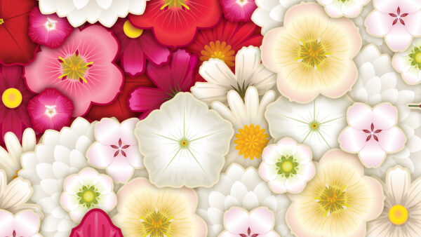 Wallpaper Flowers, Pink, Abstract, Red, White, Abstraction, Art