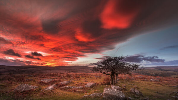 Wallpaper Sky, Green, Nature, Clouds, Black, Red, Dry, Blue, Above, Land, Grass