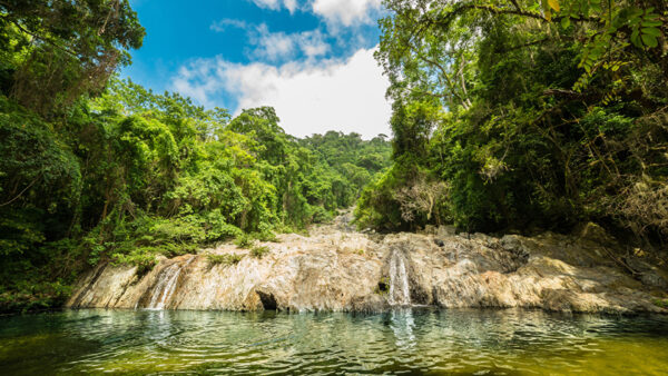 Wallpaper Blue, White, Green, Clouds, Nature, Rock, Bushes, Water, Background, Forest, Lake, Under, Trees, Stream, Sky