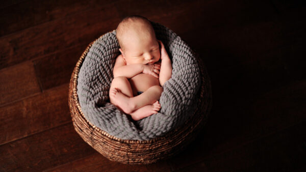Wallpaper Cloth, Basket, Bamboo, Ash, Inside, Child, Cute, Sleeping