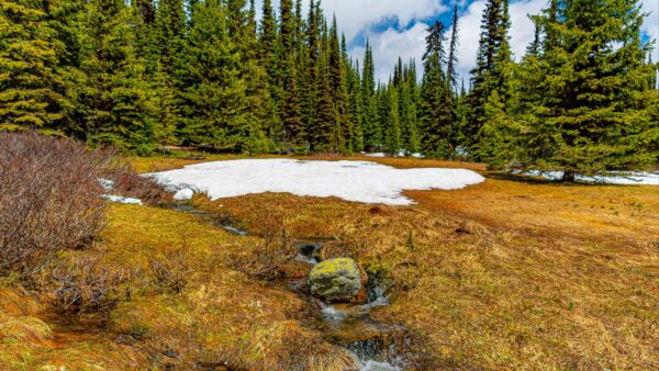 Wallpaper Clouds, Sky, Daytime, Nature, Trees, Spruce, White, Stones, Under, Desktop, During, Algae, Frozen, Lake, Forest, Covered, Blue, Mobile, Water, Background