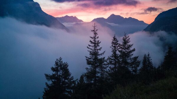 Wallpaper Sunset, Covered, Clouds, White, Black, During, Mountains, Trees, Fog, Nature