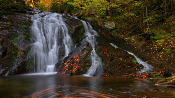 Wallpaper Rocks, Forest, Autumn, From, Nature, Yellow, Algae, Trees, Waterfalls, Green, Background, Covered