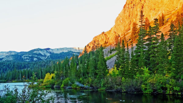 Wallpaper Sky, View, Greenery, Slope, River, During, Background, Forest, Mountains, Rock, Daytime, Landscape, Nature