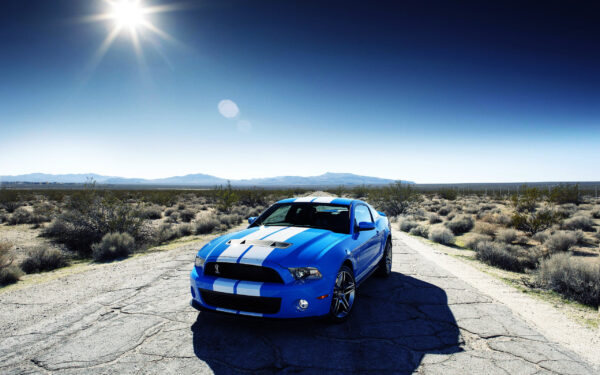 Wallpaper GT500, Shelby, Ford