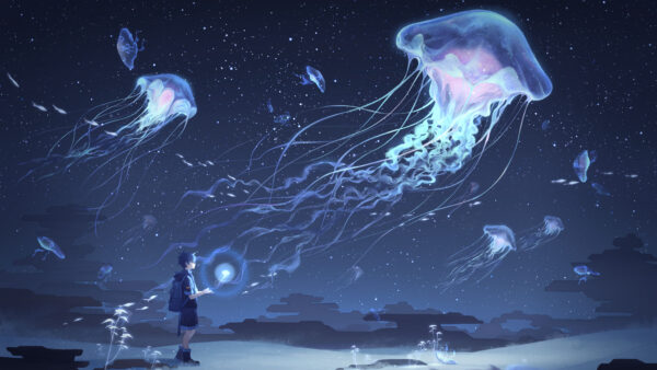 Wallpaper Dream, Jellyfish, Underwater