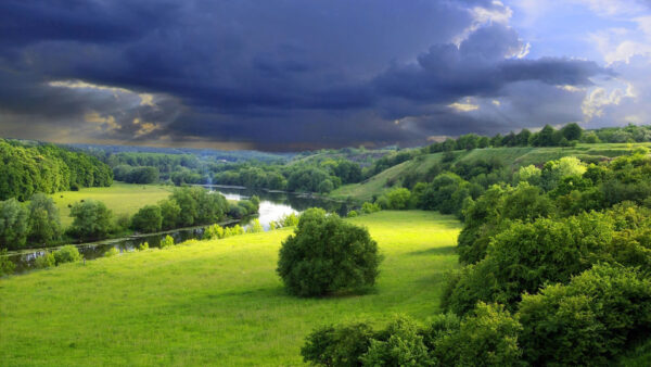 Wallpaper Sky, Nature, With, Trees, Cloudy, Between, Field, River, Grass, Green, Under