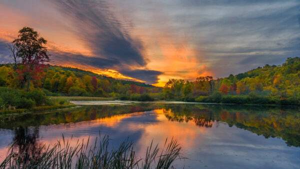 Wallpaper Desktop, Mobile, Trees, And, Sky, Sunset, With, Lake, Reflection, Nature