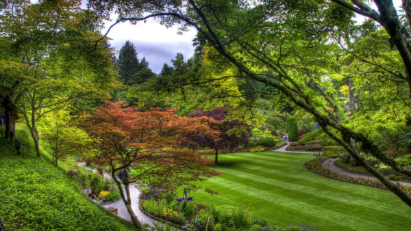 Wallpaper Trees, Path, Garden, Nature, Green, Above, Lawn, From, Strips