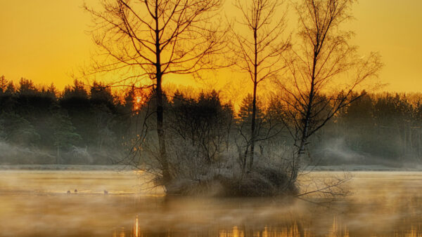 Wallpaper Lake, Background, Mobile, Trees, Fog, Sky, Nature, Reflection, Yellow, Desktop