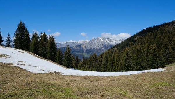 Wallpaper Mobile, Valley, Snow, Landscape, Mountains, Trees, Desktop, Under, Sky, Covered, Forest, Blue, Nature