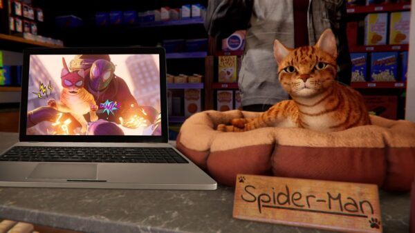 Wallpaper And, Desktop, Morales, Marvels, Miles, Cat, Spider-man