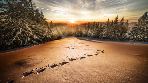 Wallpaper Landscape, During, Sunrise, Desktop, With, Snow, Winter, Covered