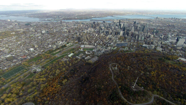 Wallpaper View, Buildings, Aerial, Canada, Montreal