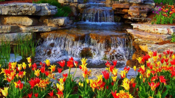 Wallpaper Bushes, View, Closeup, Red, Rocks, Yellow, Waterfall, Leaves, Plants, Nature, Green, Flowers