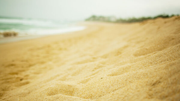 Wallpaper Ocean, Brown, Blur, Sand, Beach, Background, Light