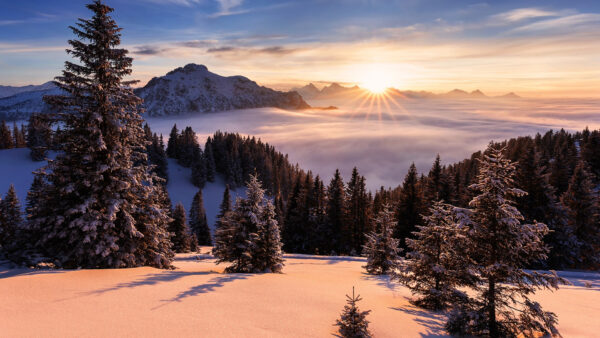 Wallpaper Fog, During, Winter, Clouds, Trees, Under, White, Sky, Covered, Snow, Mountains, Sunrise, Blue, Field