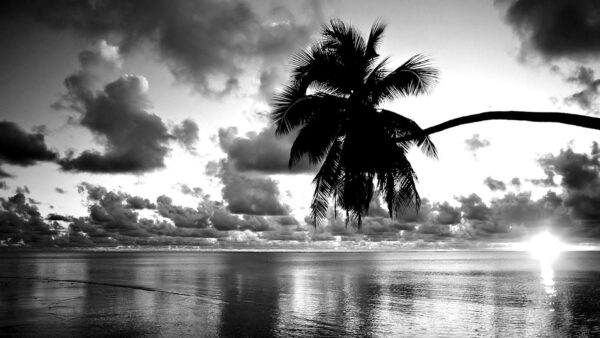 Wallpaper Beautiful, And, Desktop, Photo, Black, White, Nature