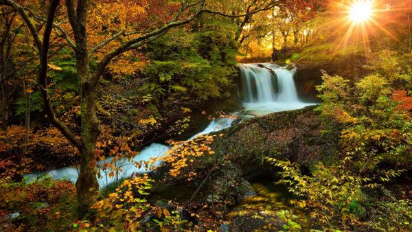 Wallpaper Rocks, Waterfalls, Autumn, Between, Yellow, Green, Background, Stream, Sunset, Sunrays, Trees, Leafed