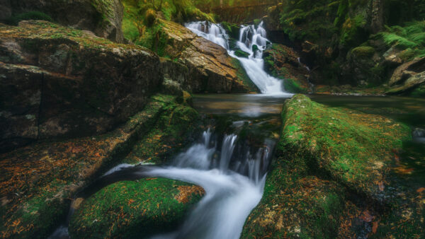 Wallpaper Green, Waterfall, Covered, Rocks, Algae, Stream, Forest, Nature, Background