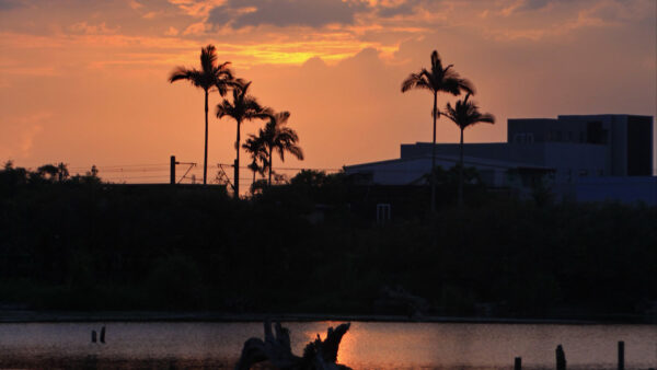 Wallpaper Nature, During, Palm, Sunset, Trees, House, Lake