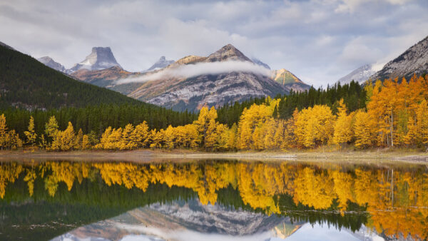 Wallpaper Autumn, Nature, Reflection, Capped, Trees, Fog, Green, Landscape, Water, With, Mountains, And, Orange, Yellow, Snow, View