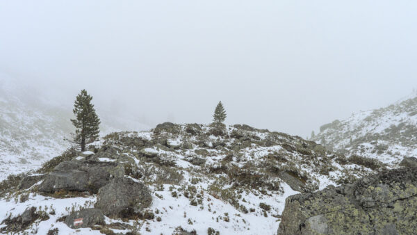 Wallpaper Hills, Mountains, Background, Snow, Trees, Nature, Fog, With