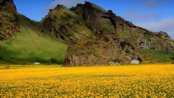 Wallpaper Rock, Beautiful, Amazing, Sky, Yellow, Greenery, Under, Mountains, White, Flowers, Clouds, Blue, Field